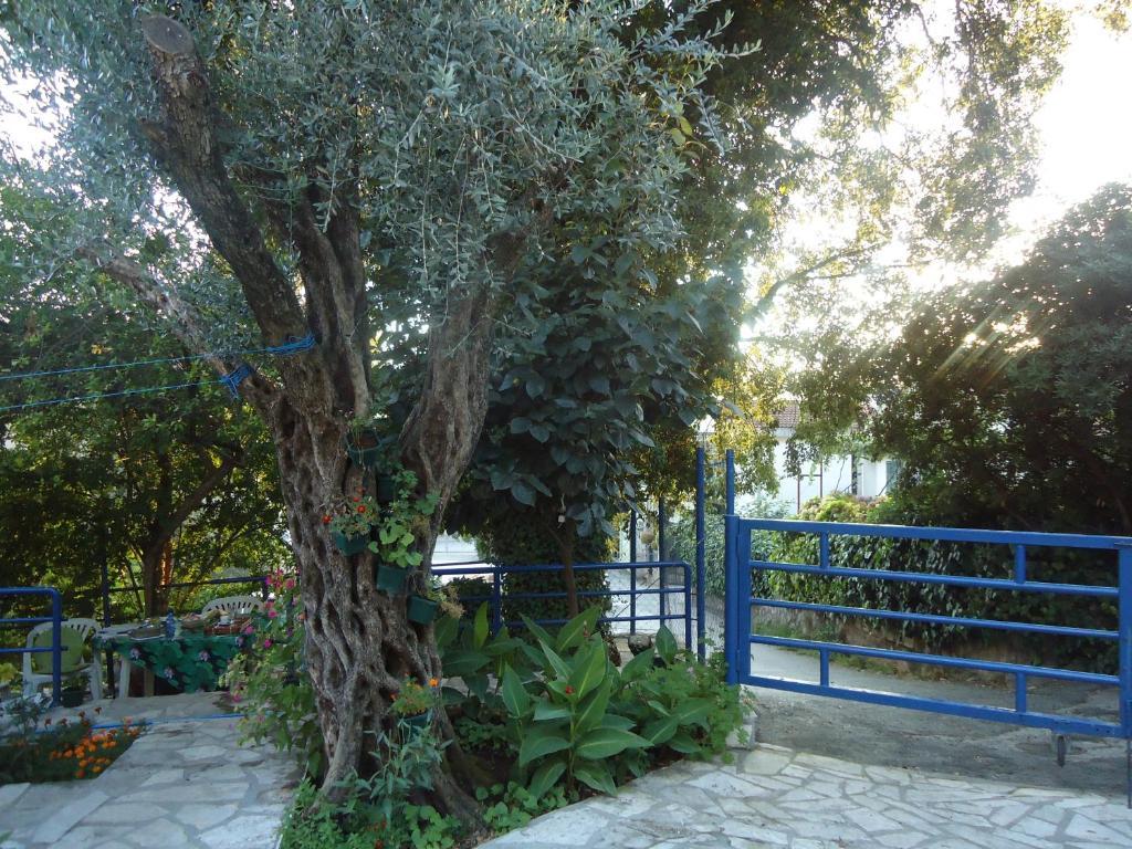 Apartments Villa Petranovic Budva Exteriér fotografie